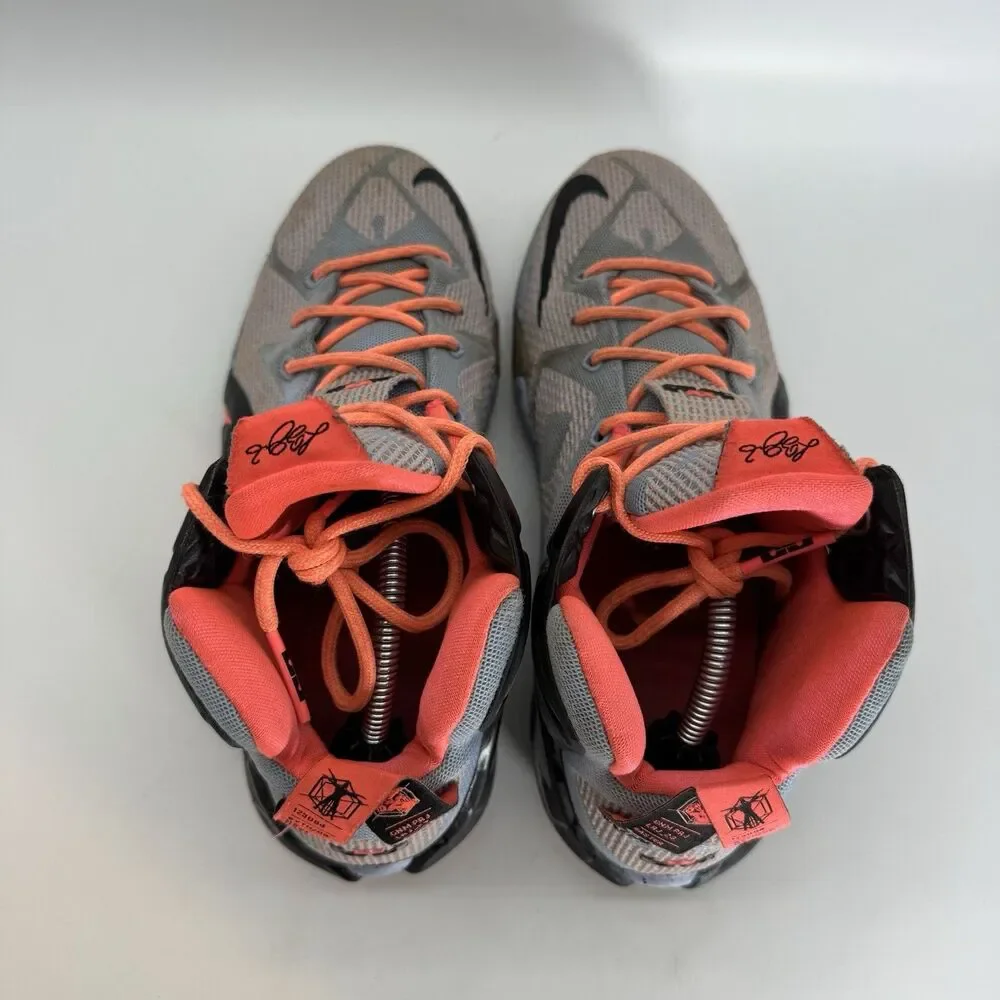 Nike Lebron XII GS Aluminum Sunset Glow 685181-488 sz 7Y Easter Athletic Sneaker